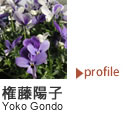 権藤陽子 プロフィール