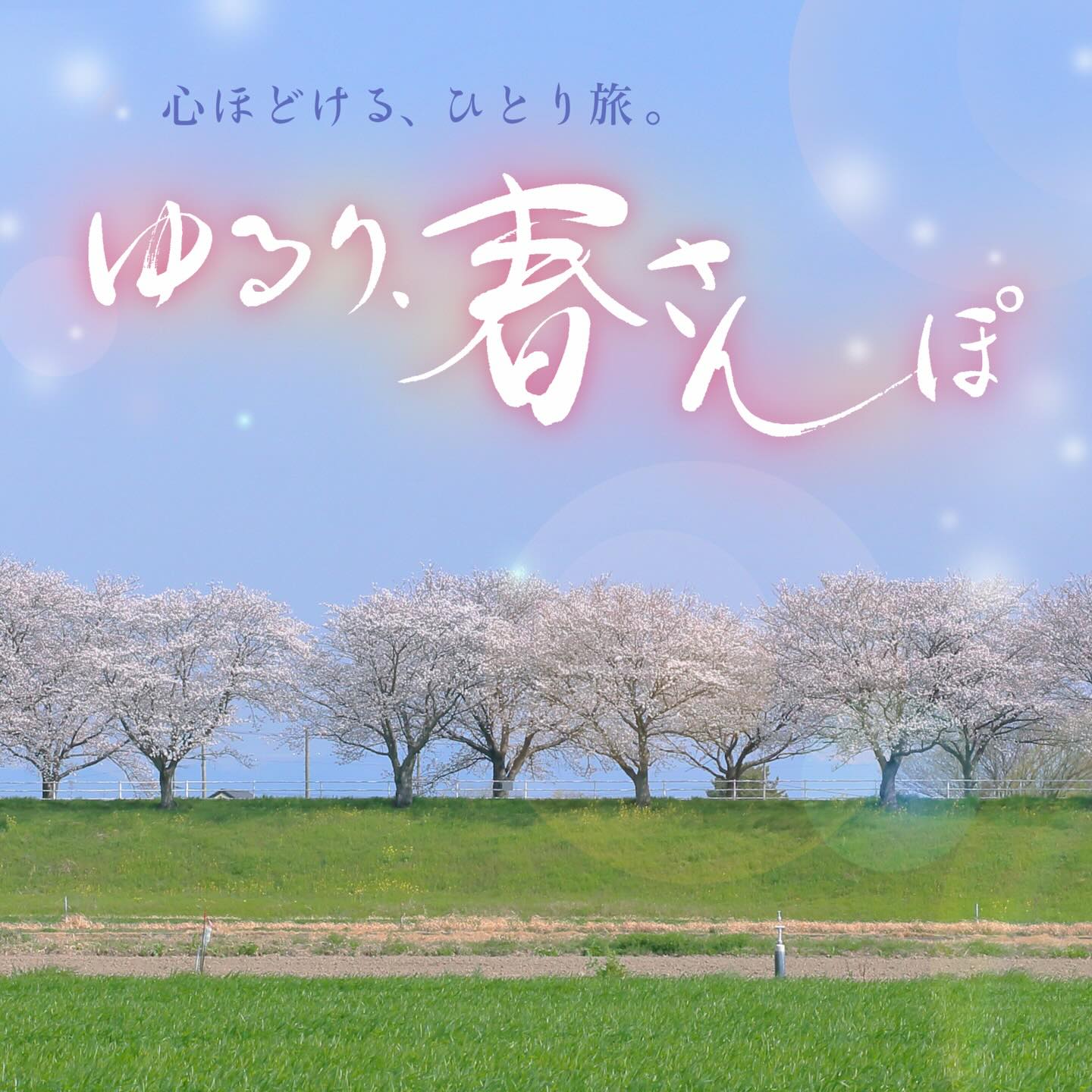 【今月のデザイン書】

4月課題「 ゆるり、春さんぽ」
旅人が春の街を気ままに歩き、美味しい飲食店や人気のスポット巡り、人との出会いなどを通して
その街の良さを知る…そんなTV番組のタイトルロゴとして創作してみました。

作家名: 小川 尊子

〈コメント 〉
細い線で軽快に楽しく散歩するさまを表現しました。

#fukuokaデザイン書作会 #デザイン書道 #筆文字 #筆文字デザイン  #ロゴデザイン