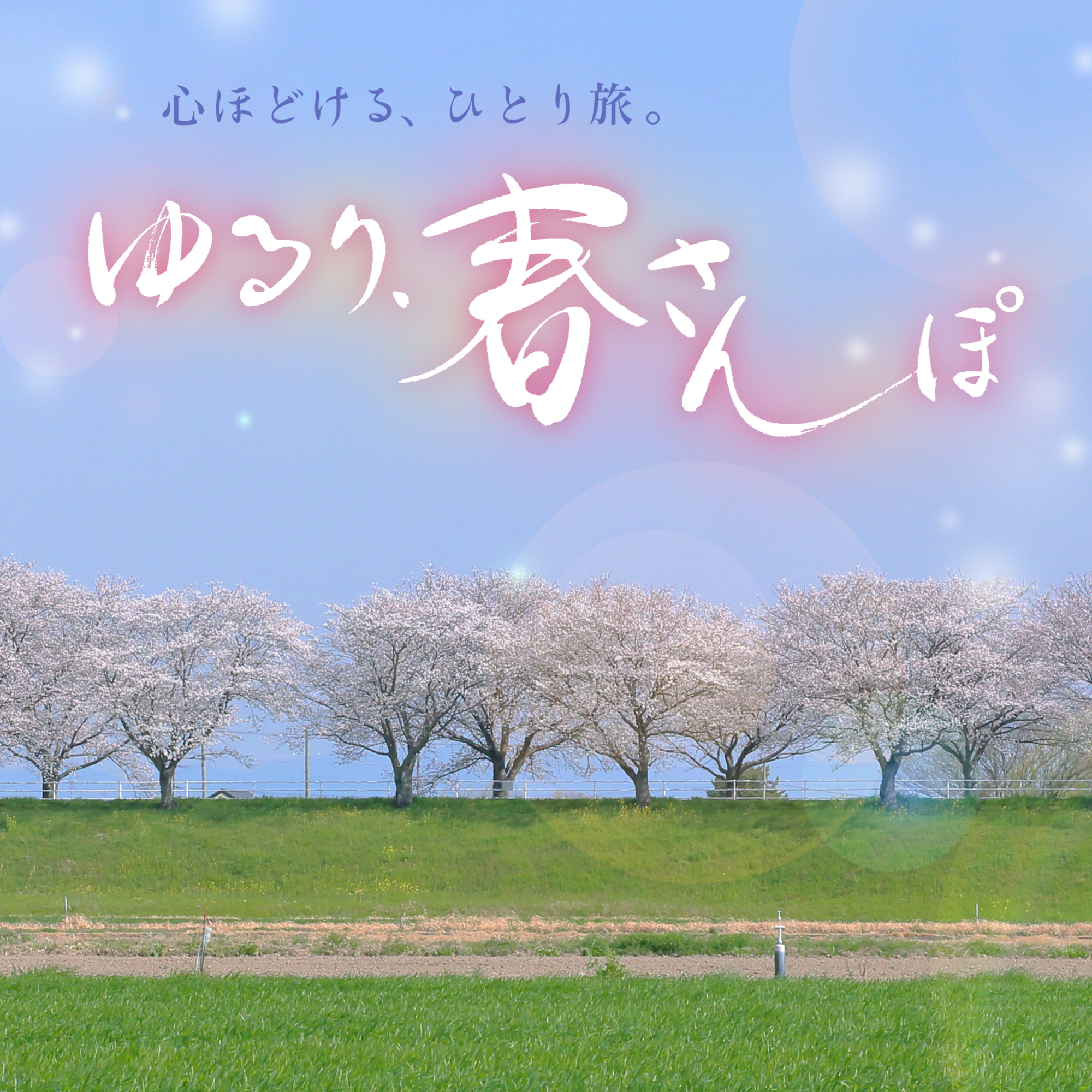 課題画像